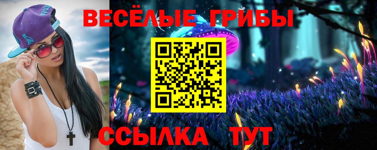 Саров  Псилоцибиновые грибы MAGIC MUSHROOMS  Вход с VPN 