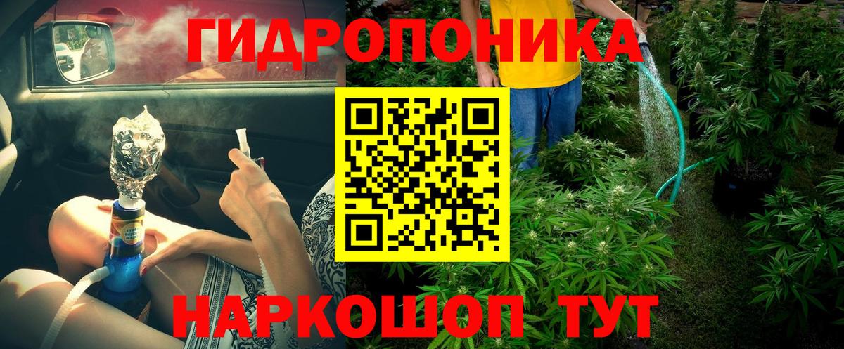 Шишки марихуана индика  Канабис план  Конопля тримм  Бошки Шишки OG Kush  Саров  Вход с VPN 